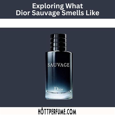 colognes that smell like dior sauvage|dior sauvage cheap alternative.